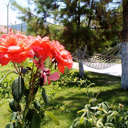 Gurkan Apart Hotel Dalyan Eksteriør billede