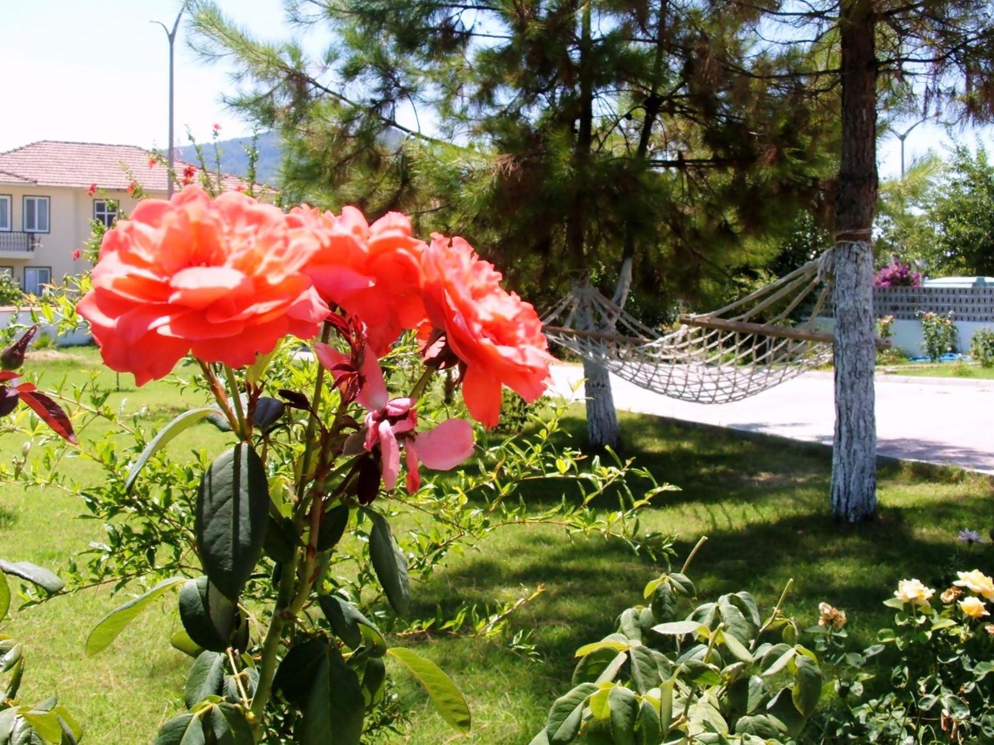 Gurkan Apart Hotel Dalyan Eksteriør billede
